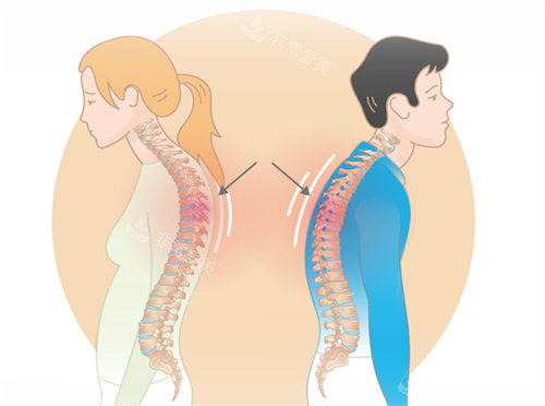富贵包卡通图片