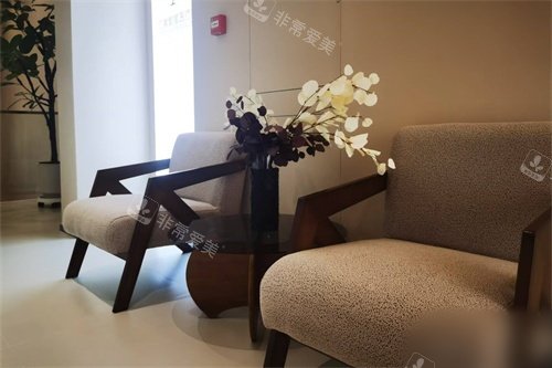 大连亿美繁星医疗美容诊所休息沙发