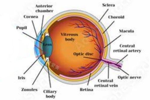 晶状体浑浊图示