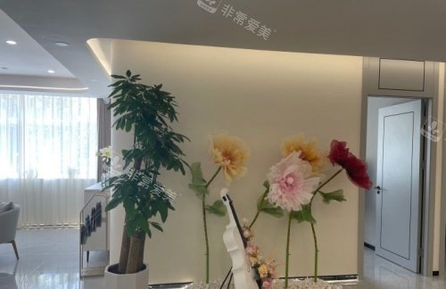 嘉兴韩辰整形一角环境示意图