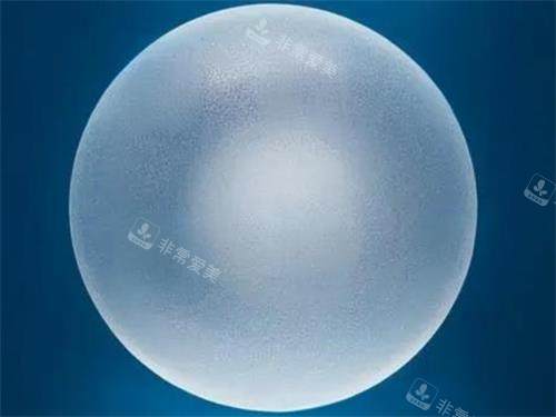 德国宝俪假体图片