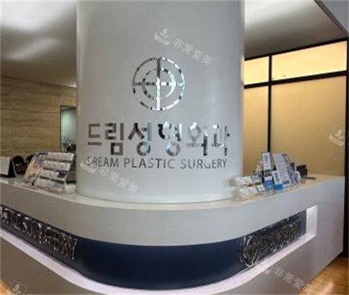 韩国梦想整形前台环境