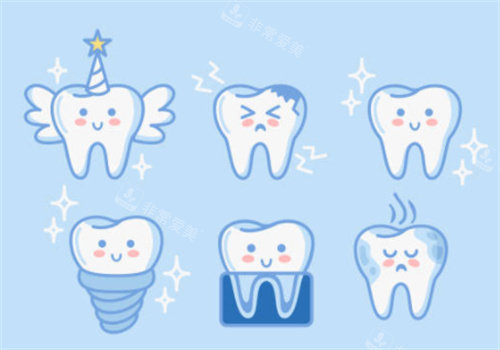 牙齿的各个形态图