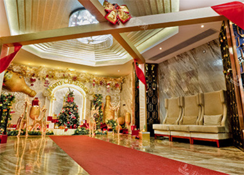 广州华美医疗美容医院红毯