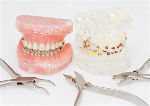 牙齿模型图片展示图