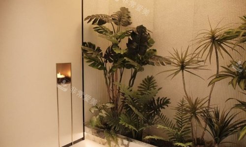 西安赫本整形绿植环境示意图