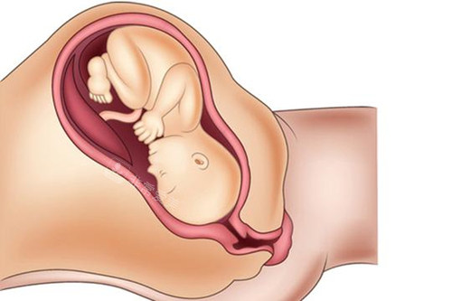 我在韩国做了激光缩阴怎么样？无修复期，结果自然，后悔没早点做