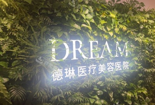 上海德琳整形logo示意图