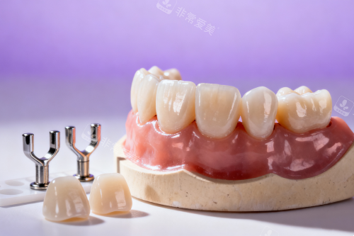 牙齿模型图片展示一览