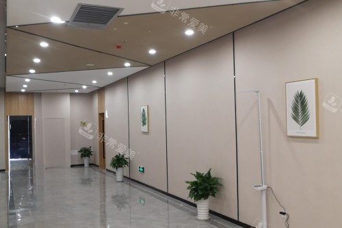 赣州叶子整形环境一角