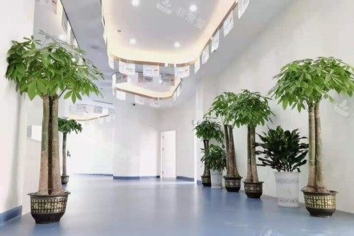 岳阳平江致远口腔内部环境