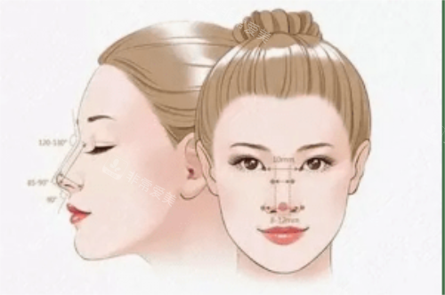 幼态脸需要整形的部位 幼态脸需要整形的部位