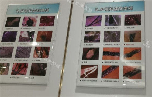 泉州重森植发展示区