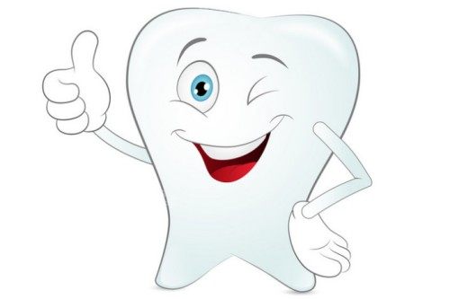 牙齿美白卡通模型图