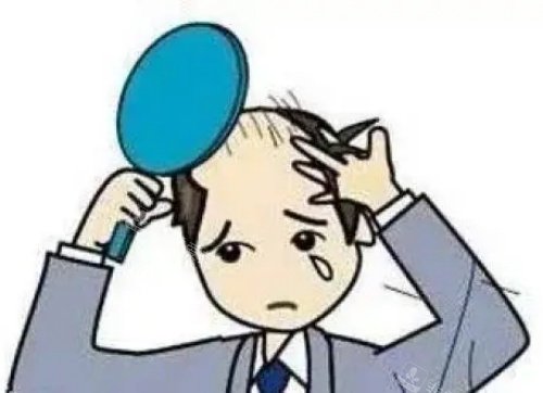 头发秃顶示意图