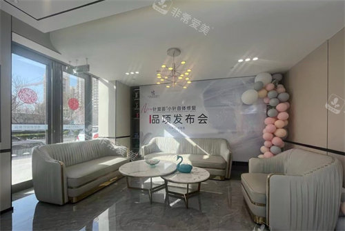 石家庄喜盟荟医疗美容沙发