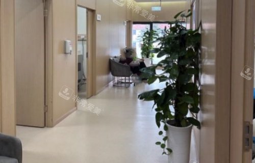 成都美容整形医院走廊示意图