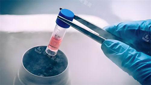 注射干细胞过程