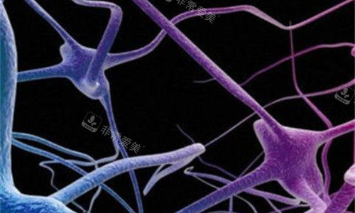 缩阴手术内部展示图 缩阴手术内部展示图