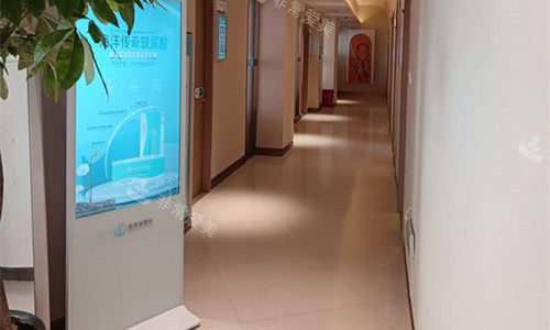 商丘缔莱美整形走廊图