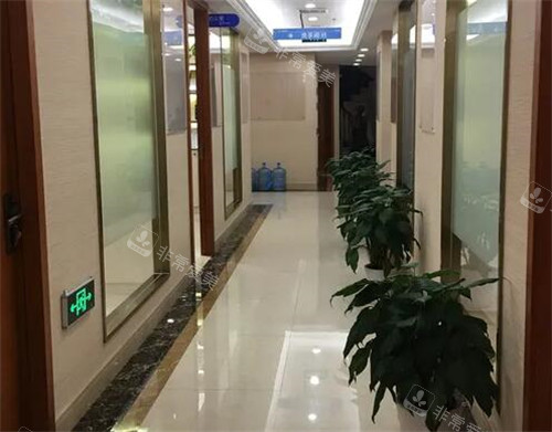 宁波碧莲盛植发照片图展示