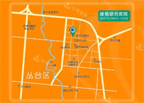 邯郸绿植医疗美容到院路线