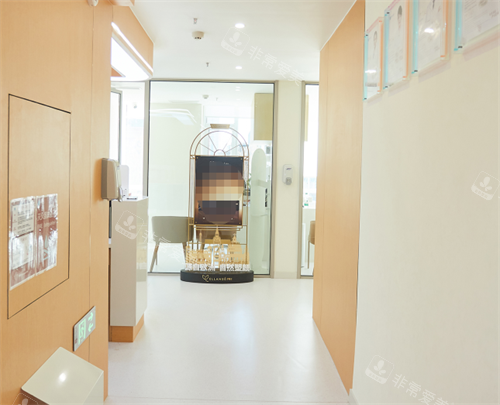 邯郸绿植医院走廊