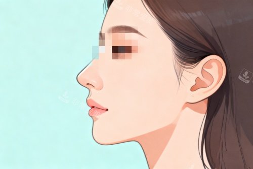 好看鼻型卡通图