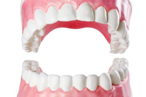 牙齿卡通模型图