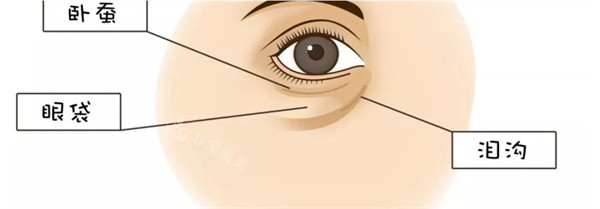 郑州王杨医生眼袋修复卧蚕多少钱？2026年价格指南，从基础修复到精致卧蚕，费用区间全公开