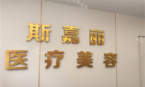 北京斯嘉丽整形logo图展示