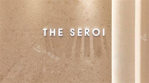 韩国theseroi整形外科LOGO