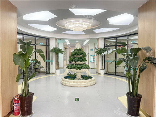 濮阳柏林牙医口腔大厅环境