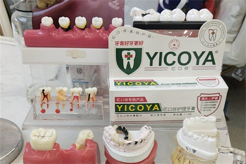 东莞寮步莞口口腔牙齿模型