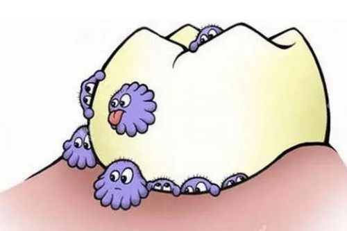 牙齿有细菌卡通展示图