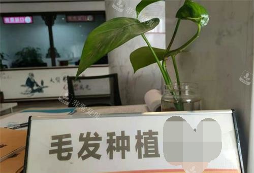 重庆华肤植发导医台