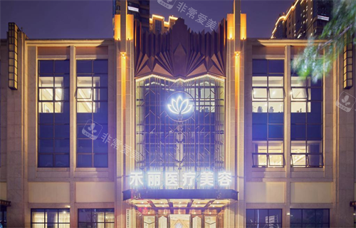 南昌禾丽康美医疗美容LOGO