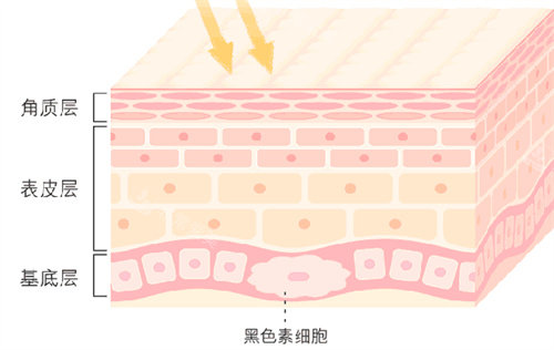 皮肤美白卡通图