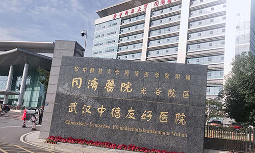 武汉同济医学院医院门头图