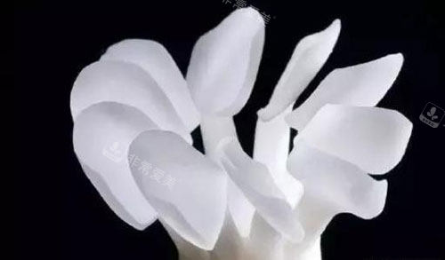 牙齿树脂贴面示意图