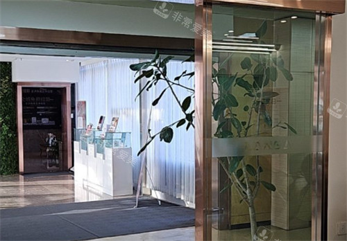 保定蓝山医疗美容医院入口环境