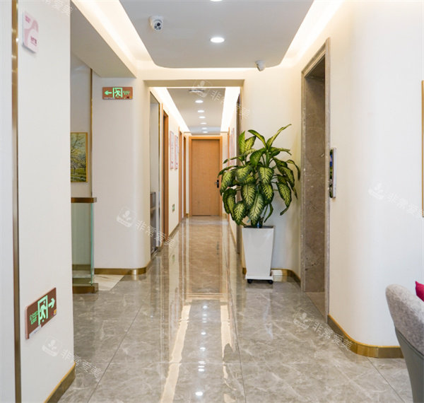 哈尔滨晶颜丽肤医疗美容走廊环境图片