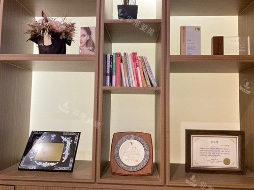 韩国赫拉整形外地址在哪里？附上详细地址大家收藏！