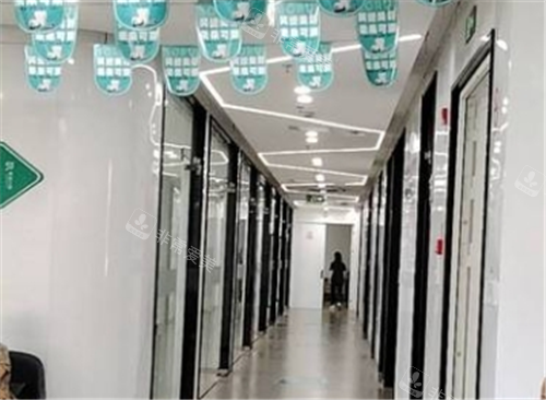 嵊州柏瑞口腔走廊图