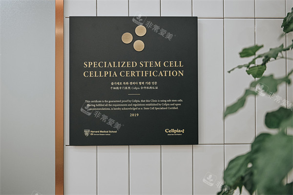 釜山mediwoman妇科内部环境