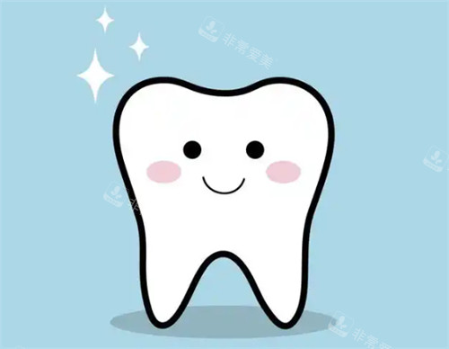 牙齿模拟图