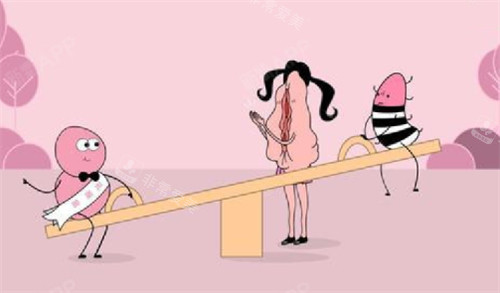 私密整形可以治疗的部位图解 私密整形可以治疗的部位图解