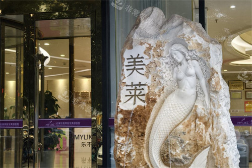 石家庄美莱医学美容医院外景