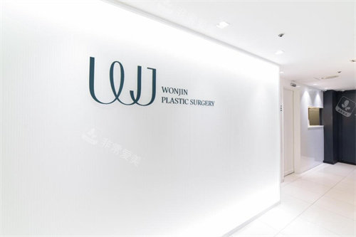 韩国WJ原辰整形logo图 韩国WJ原辰整形logo图