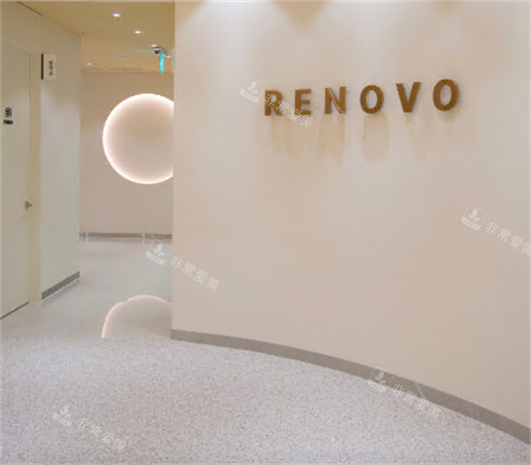 韩国釜山renovow皮肤...